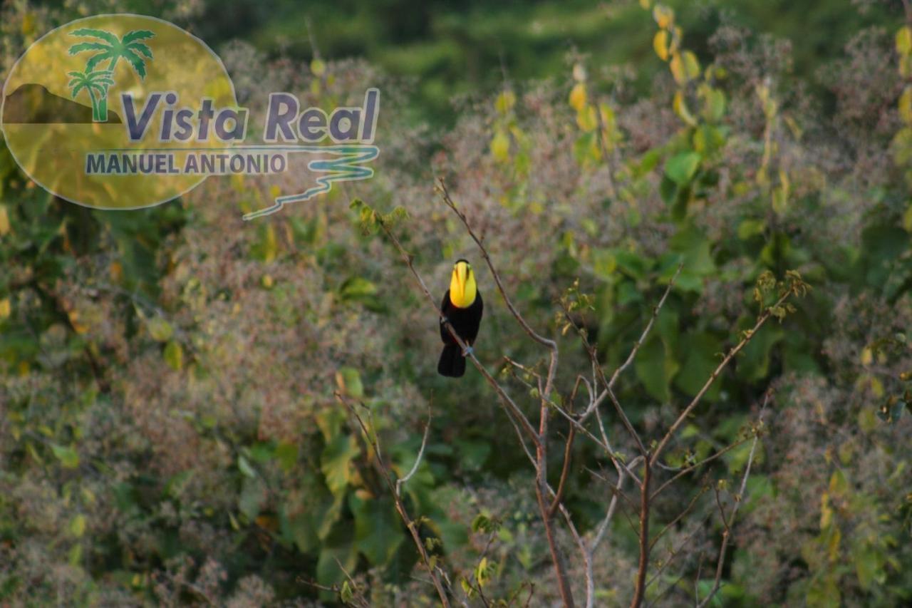Hotel Vista Real Manuel Antonio Exteriér fotografie